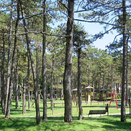 Appartamento Parco Hemingway-5 By Interhome